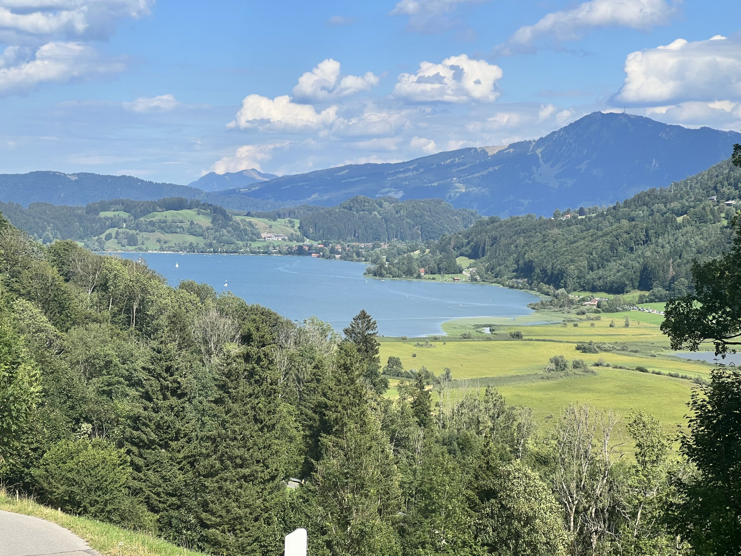 Blick auf den Alpsee bei einer Fahrradtour
